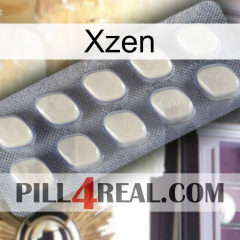 Xzen 08